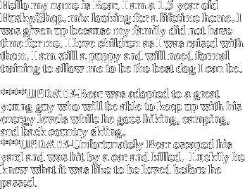 Hello my name is Bear.