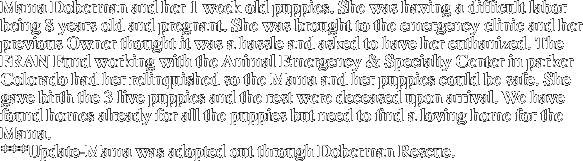 Mama Doberman and her 1