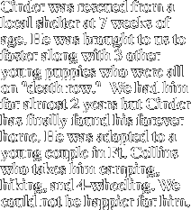 Cinder was rescued from a